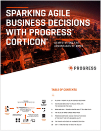 Sparking Agile Business Decisions: Demystifying the Advantages of Business Rules