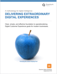 Delivering Extraordinary Digital Experiences