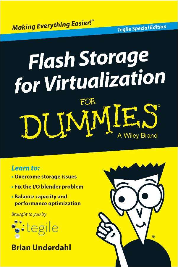 Flash Storage for Dummies