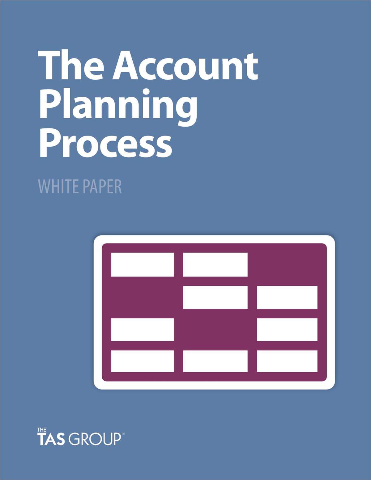 The Account Planning Process