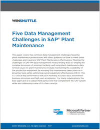 Five Data Management Challenges in SAP® Plant Maintenance