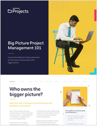 Big Picture Project Management 101