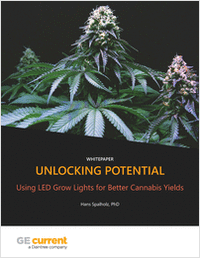 Unlocking Potential: Using LED Grow Lights for Better Cannabis Yields