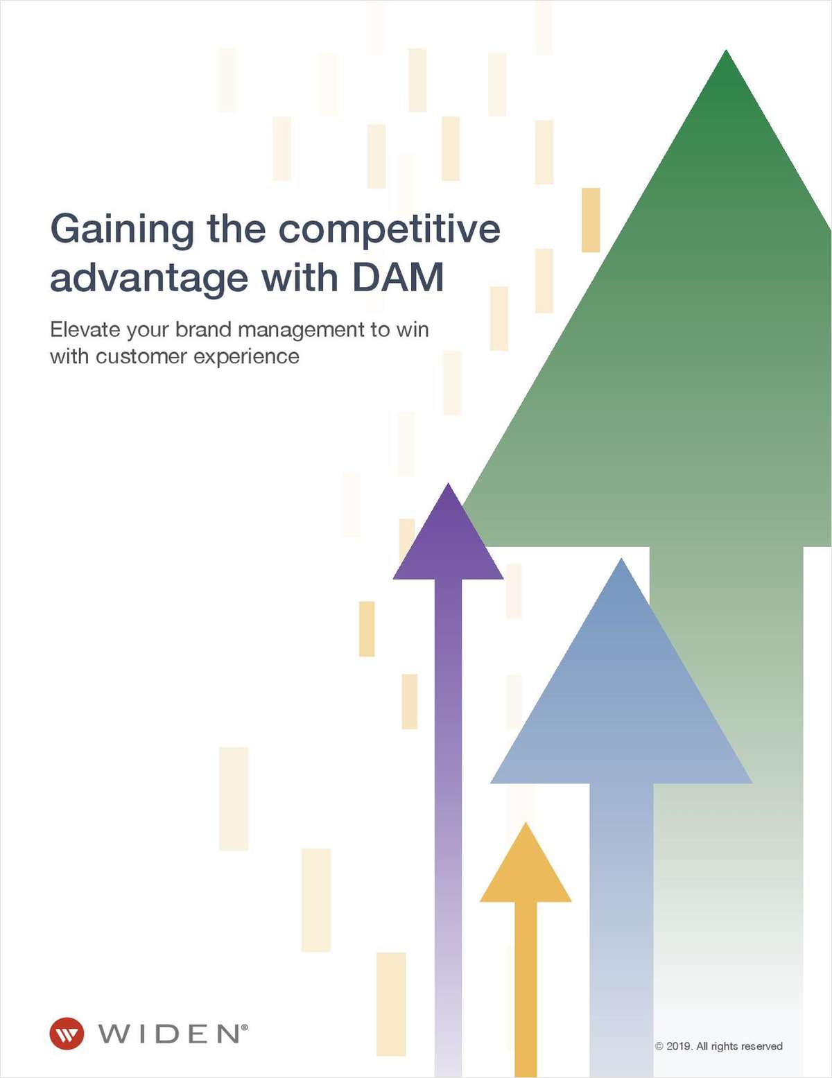 Gaining the Competitive Advantage with DAM