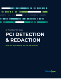 PCI Redaction Overview: How Call Centers Stay Compliant