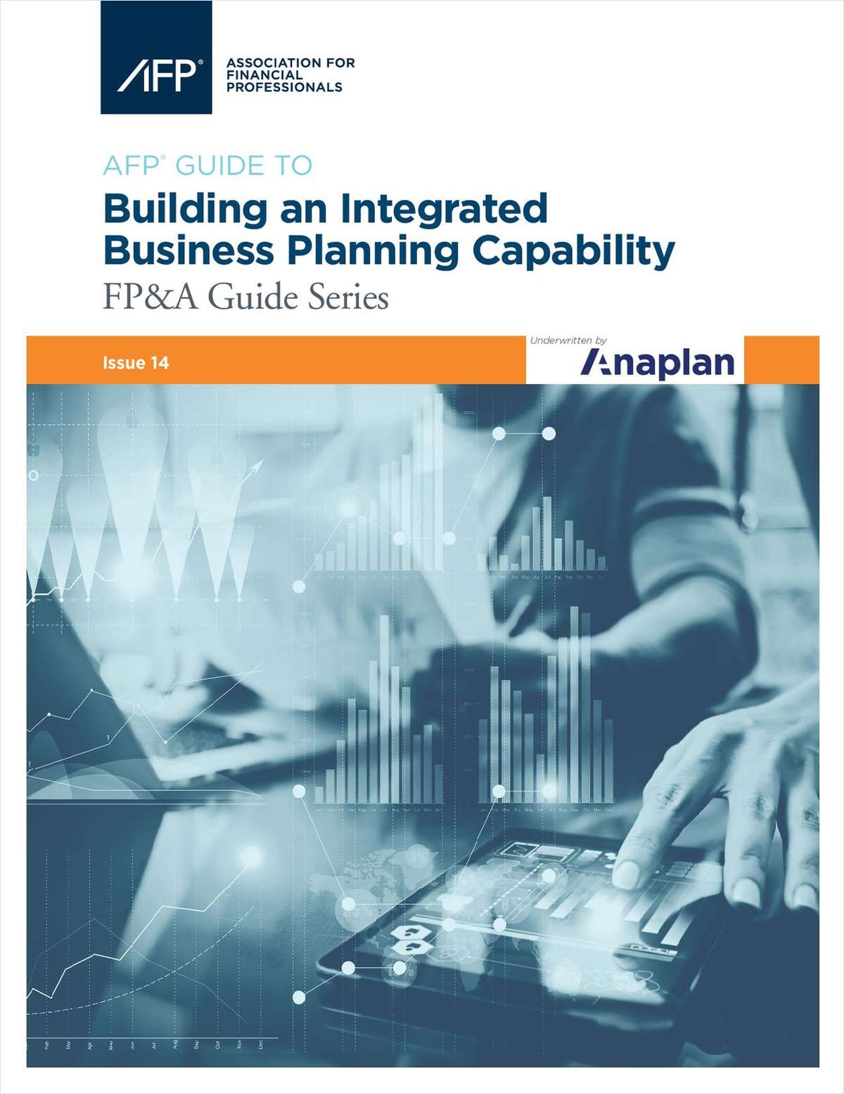 Building an Integrated Business Planning Capability