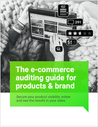 The e-commerce auditing guide for products &brand