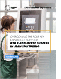 B2B E-COMMERCE SUCCESS FOR BRAND MANUFACTURERS