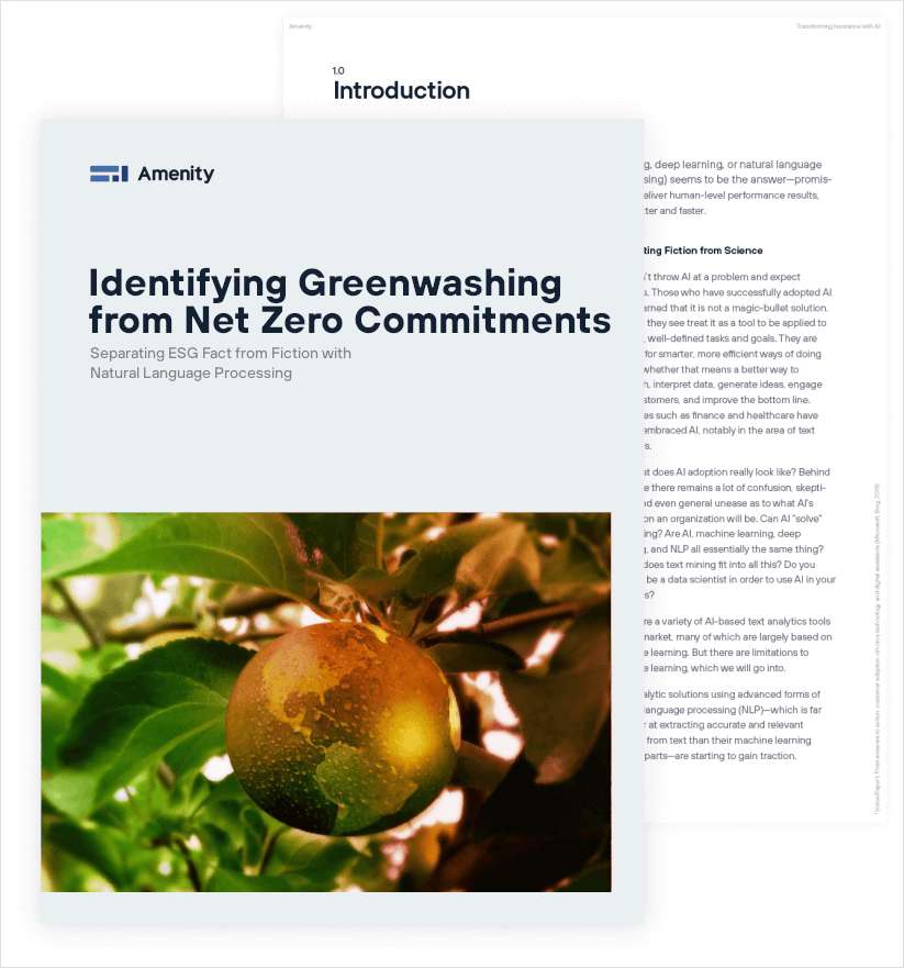 Identifying Greenwashing from Net Zero Commitments
