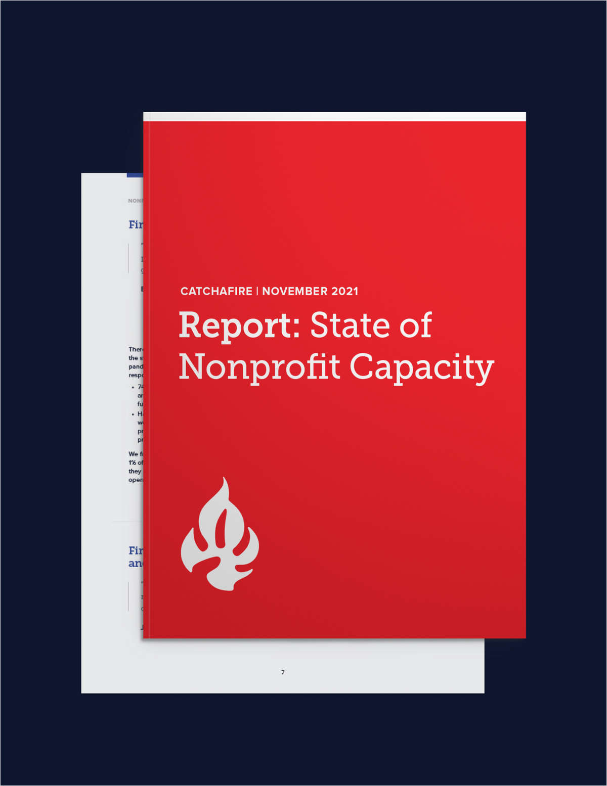State of Nonprofit Capacity