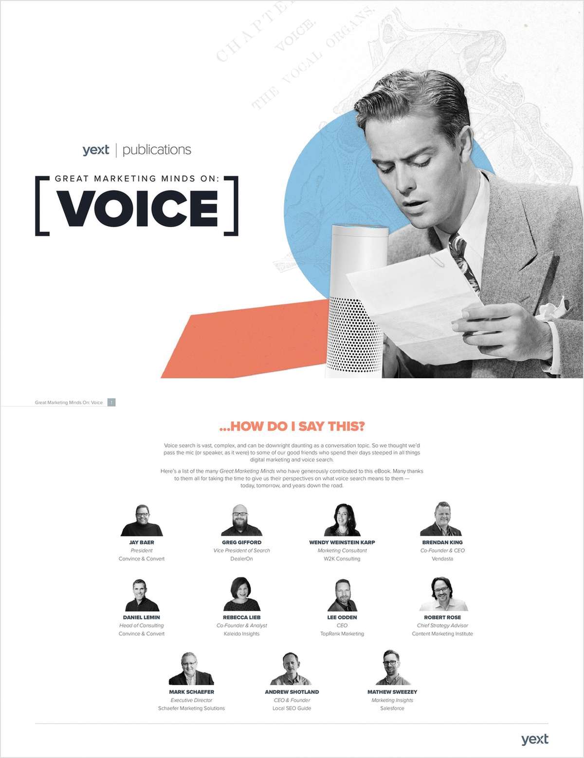 Great Marketing Minds On: Voice