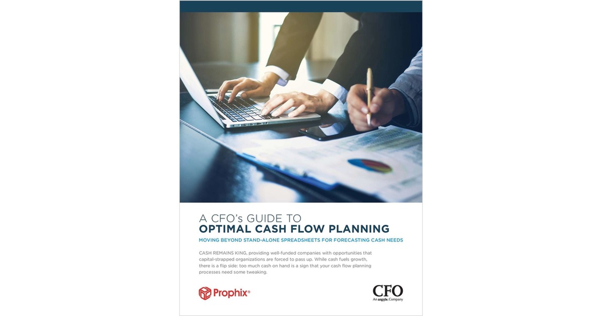 A CFO's Guide to Optimal Cash Flow Planning Free White Paper