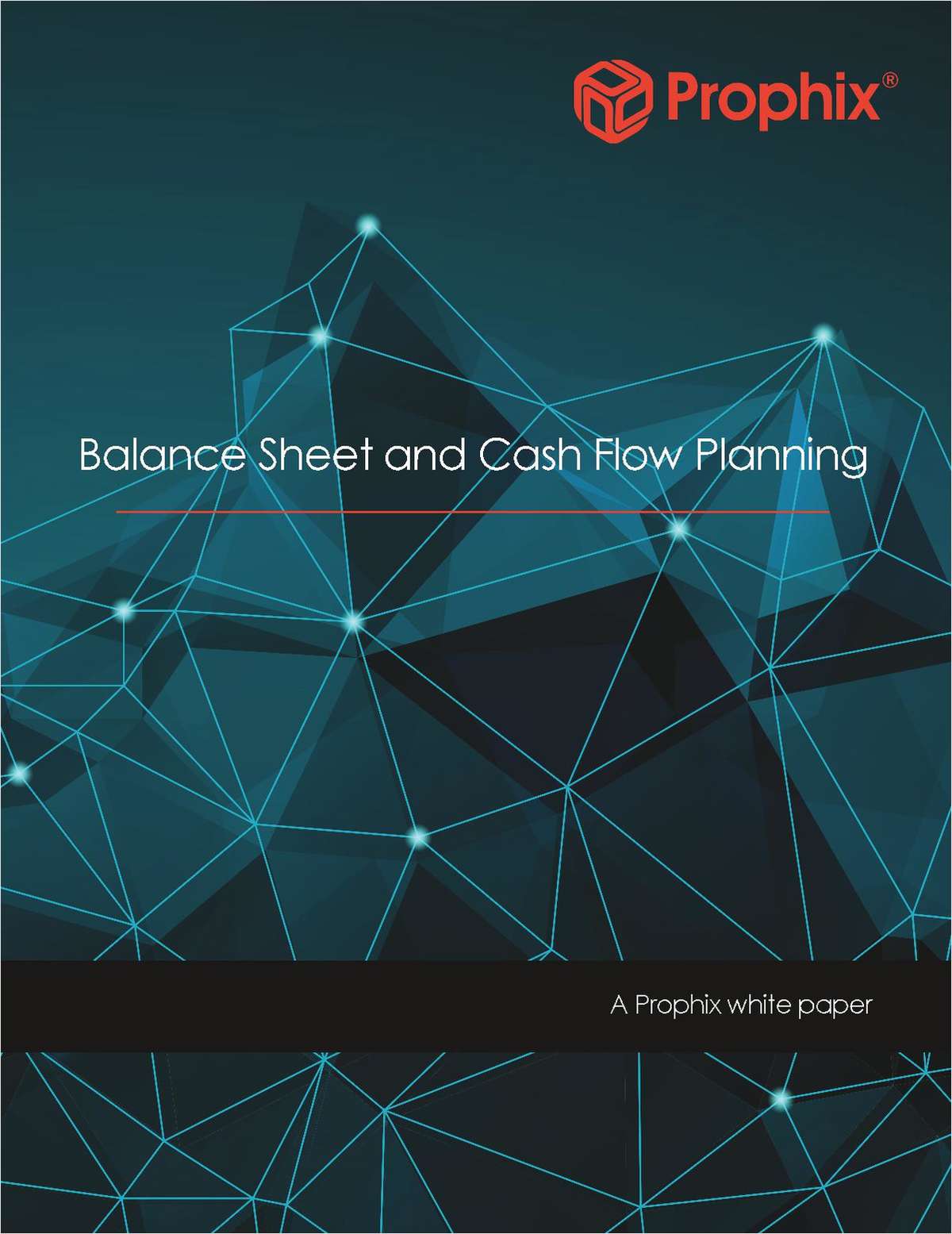 Balance Sheet and Cash Flow Planning