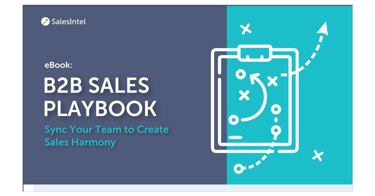The Definitive B2B Sales Playbook: A Proven Path to $ Multi-Million Revenues