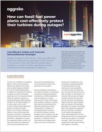 How can fossil fuel power plants cost-effectively protect their turbines during outages?