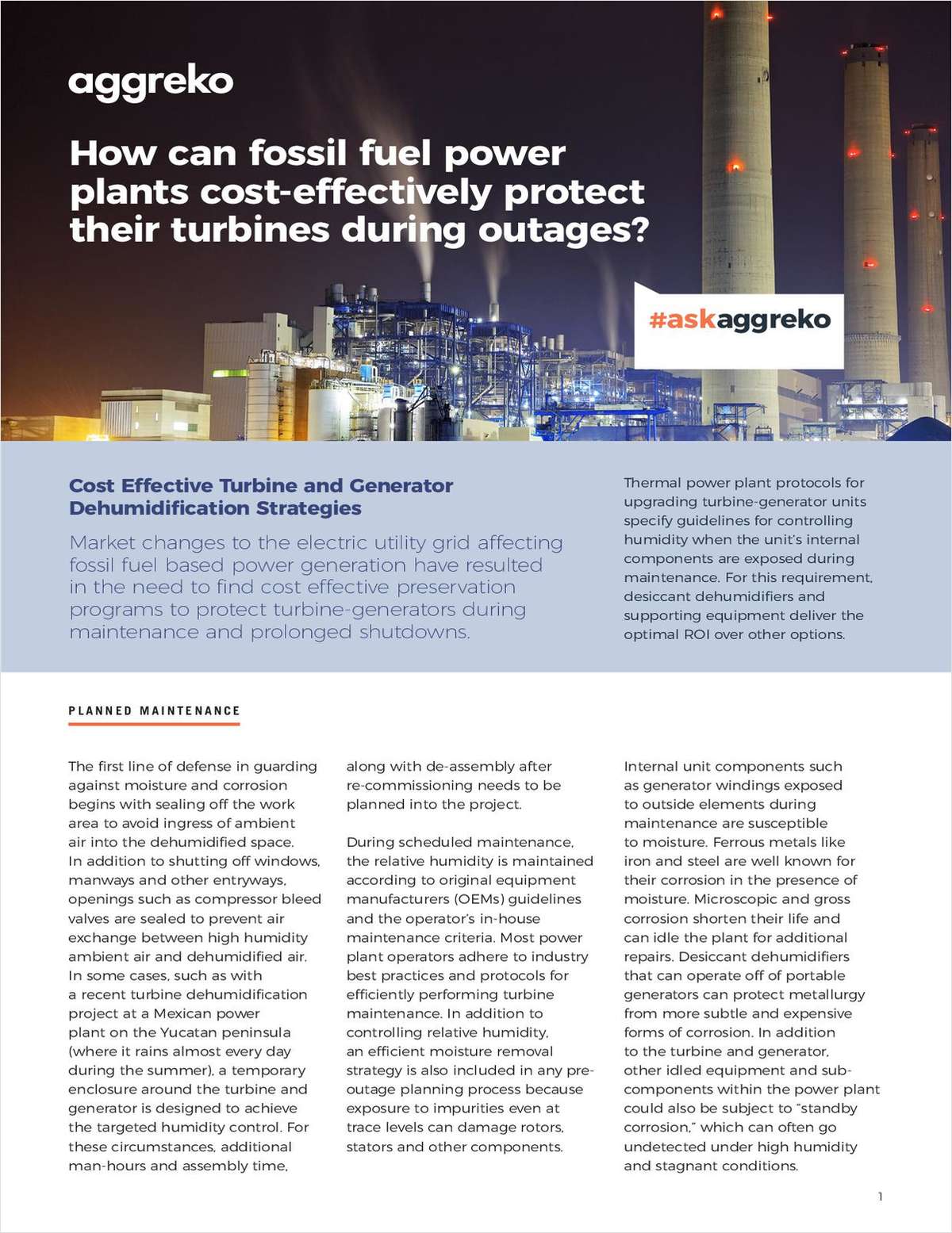 How can fossil fuel power plants cost-effectively protect their turbines during outages?