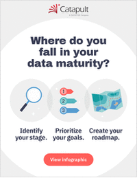 The Data Maturity Model