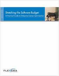Stretching the Software Budget with Enterprise License Optimization