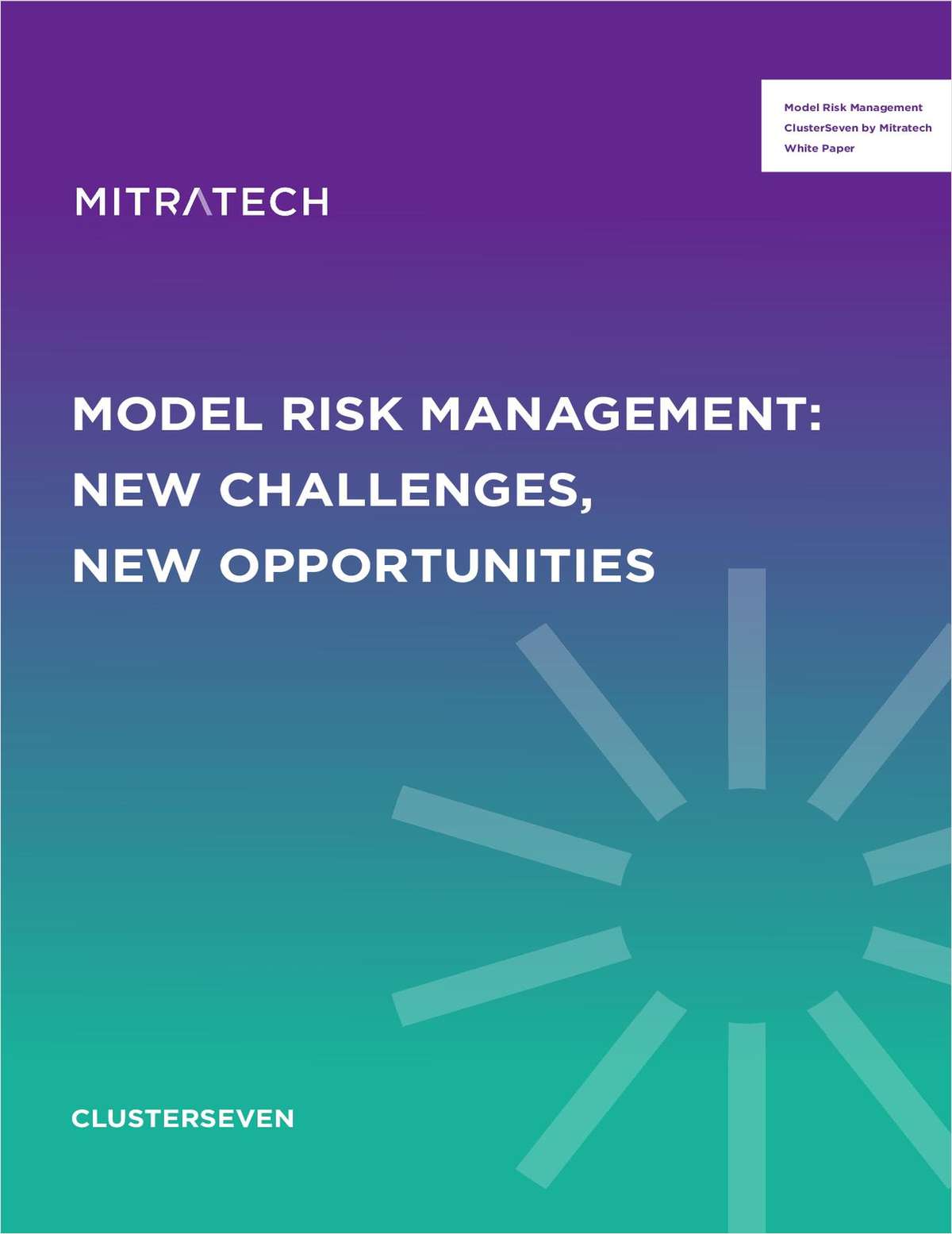 White Paper on Model Risk Management: New Challenges, New Opportunities