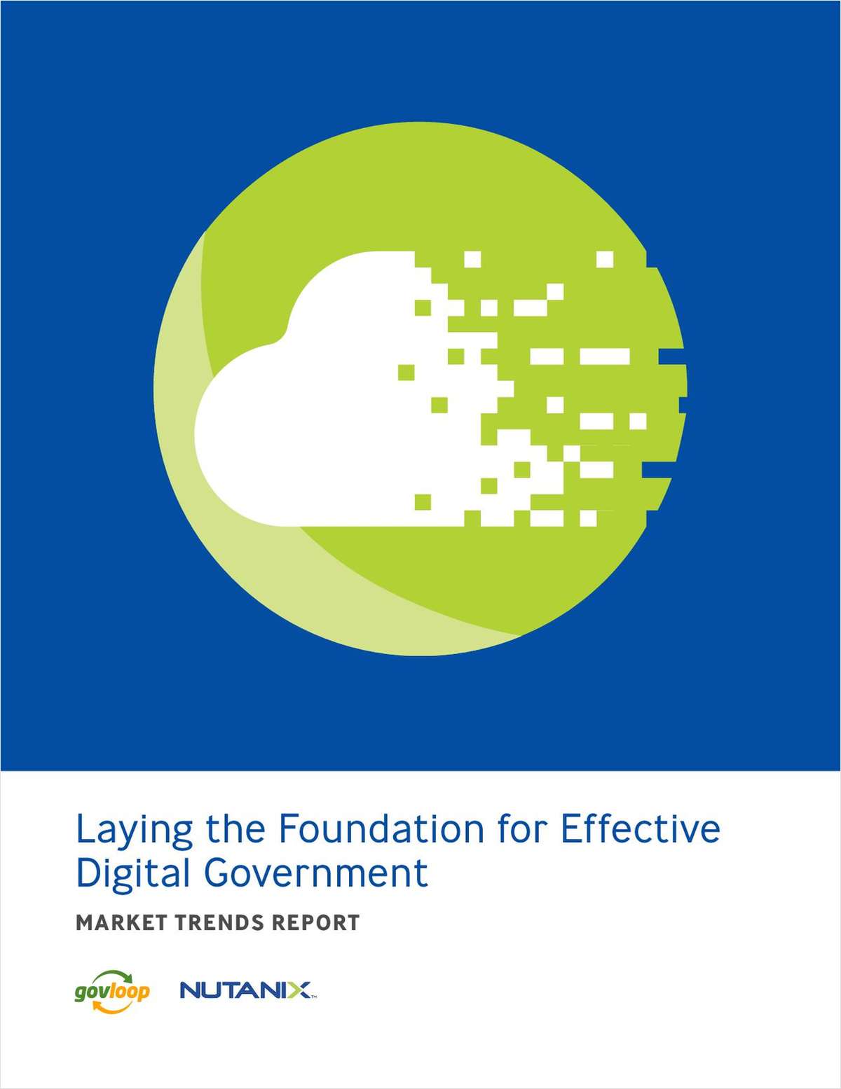 Laying the Foundation for Effective Digital Government
