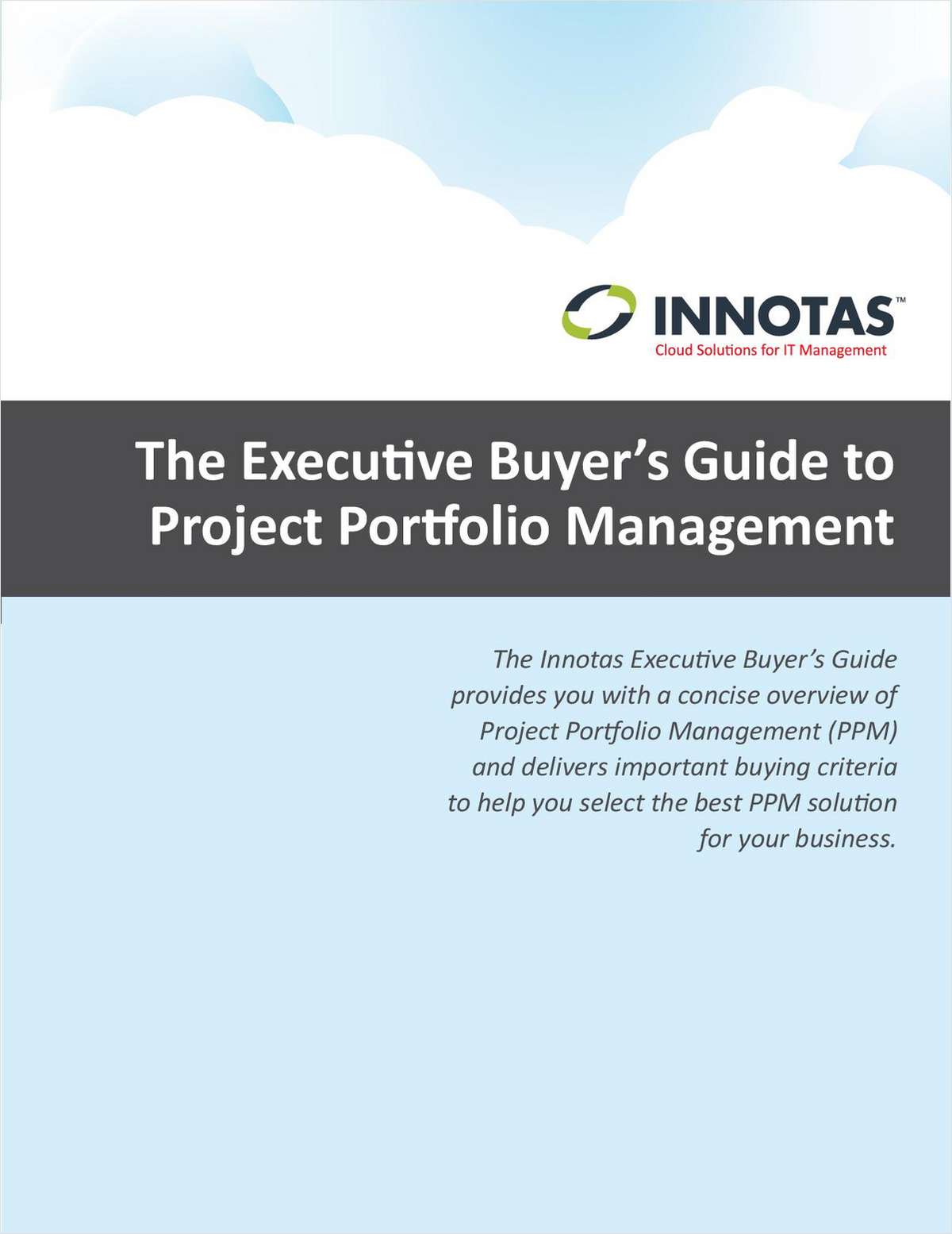 The Executive Buyer's Guide to Project Portfolio Management