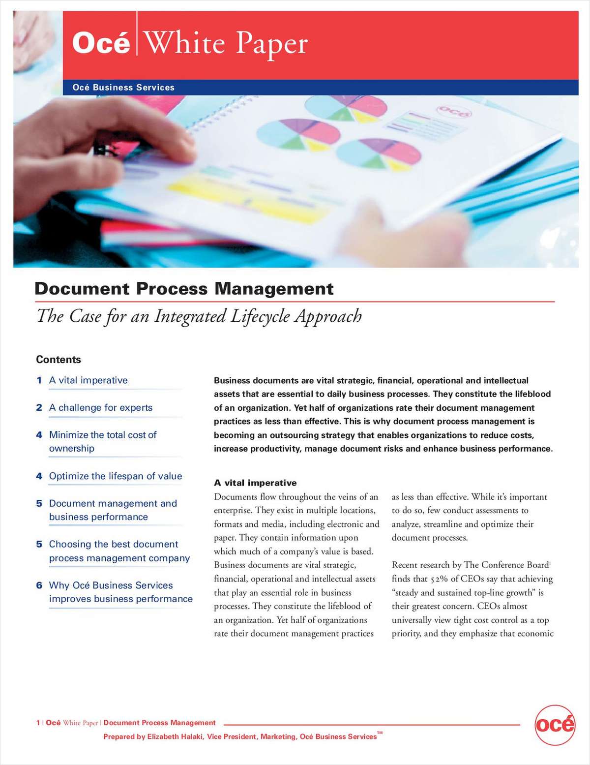 Document Process Management: The Case for an Integrated Lifecycle Approach