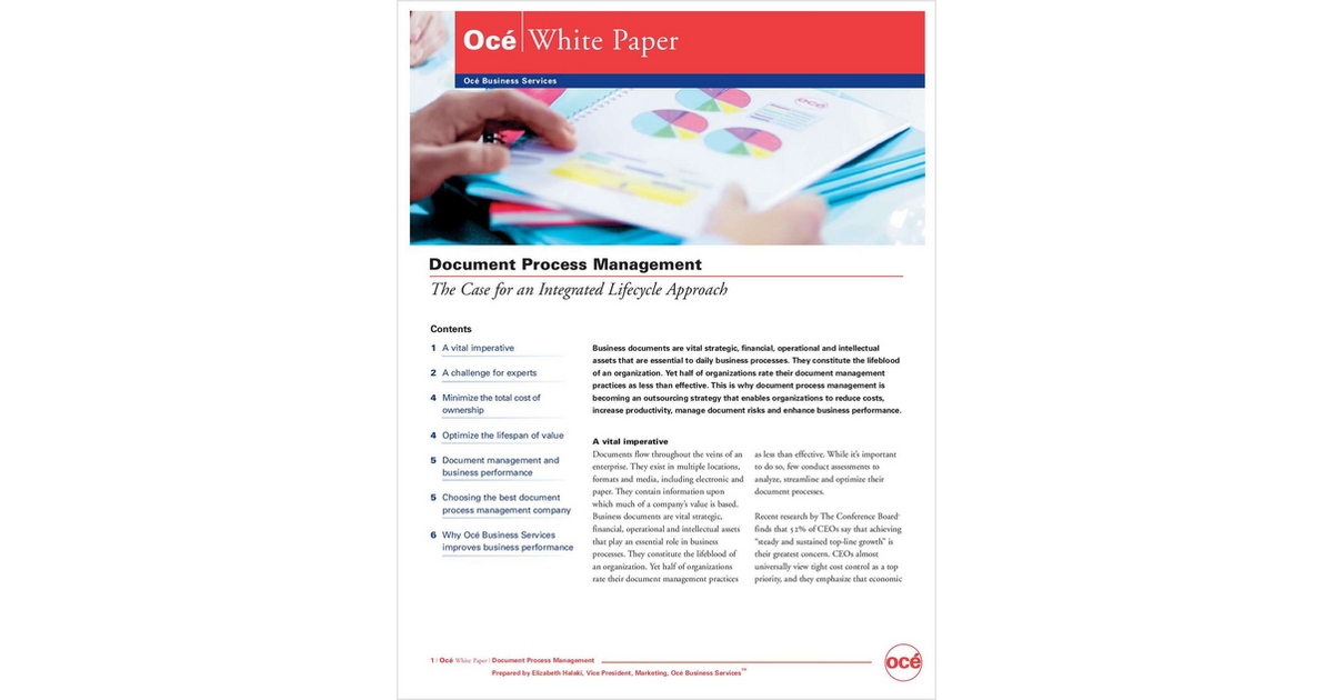 Document Process Management: The Case for an Integrated Lifecycle Approach