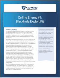 Online Enemy #1: Blackhole Exploit Kit