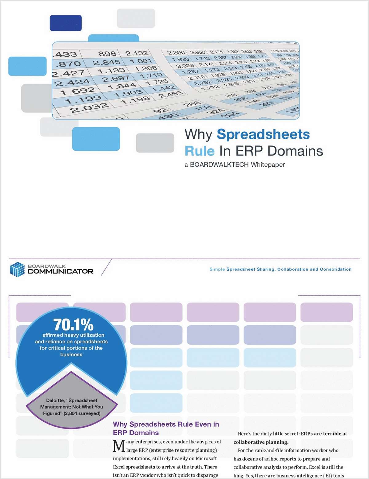 Why Do Spreadsheets Rule Even in ERP Environments?