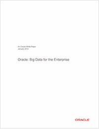 Oracle: Big Data for the Enterprise