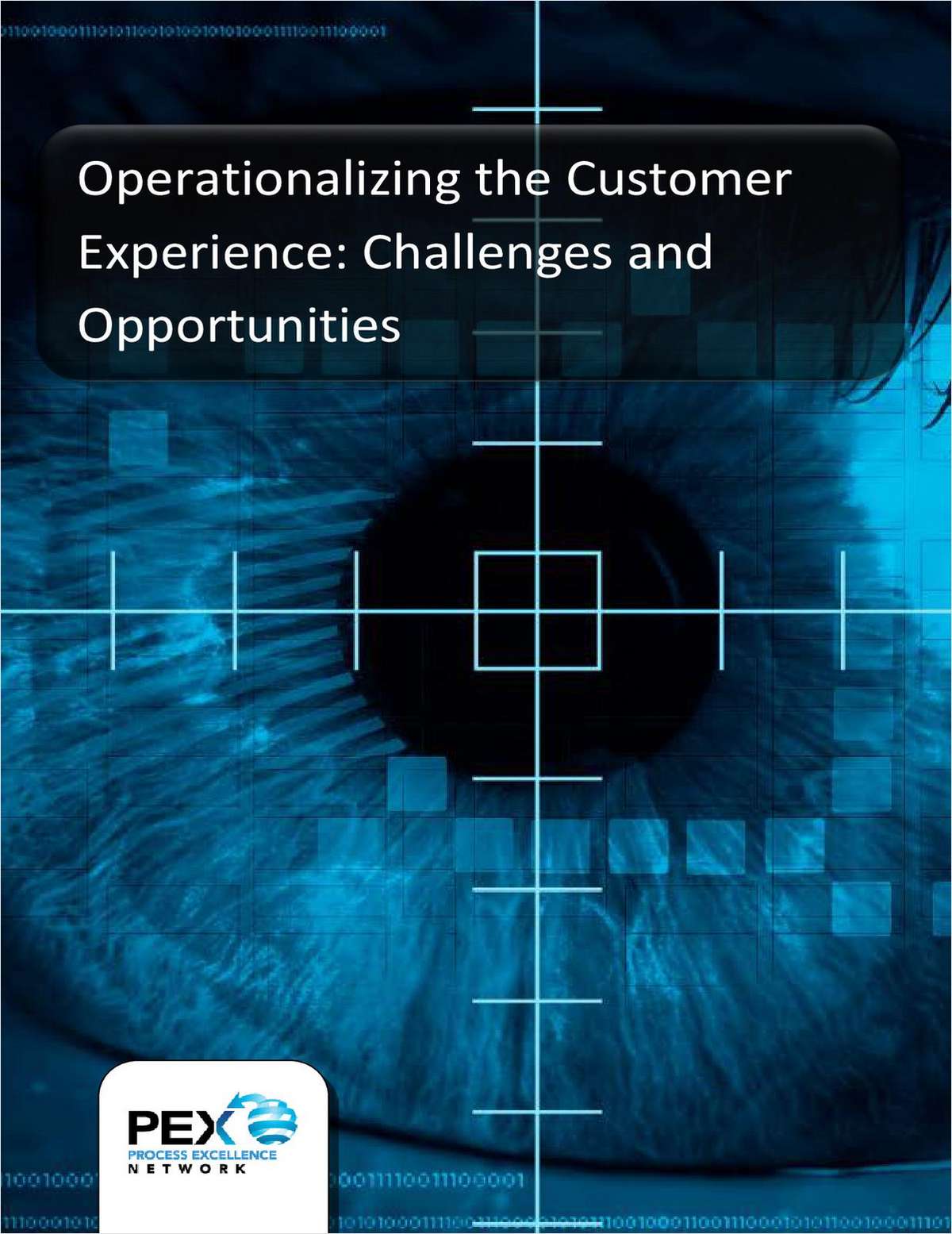 Operationalizing the Customer Experience - Survey Report