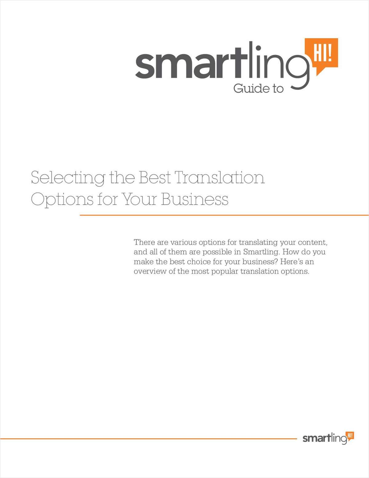 Selecting the Best Translation Options for Your Business