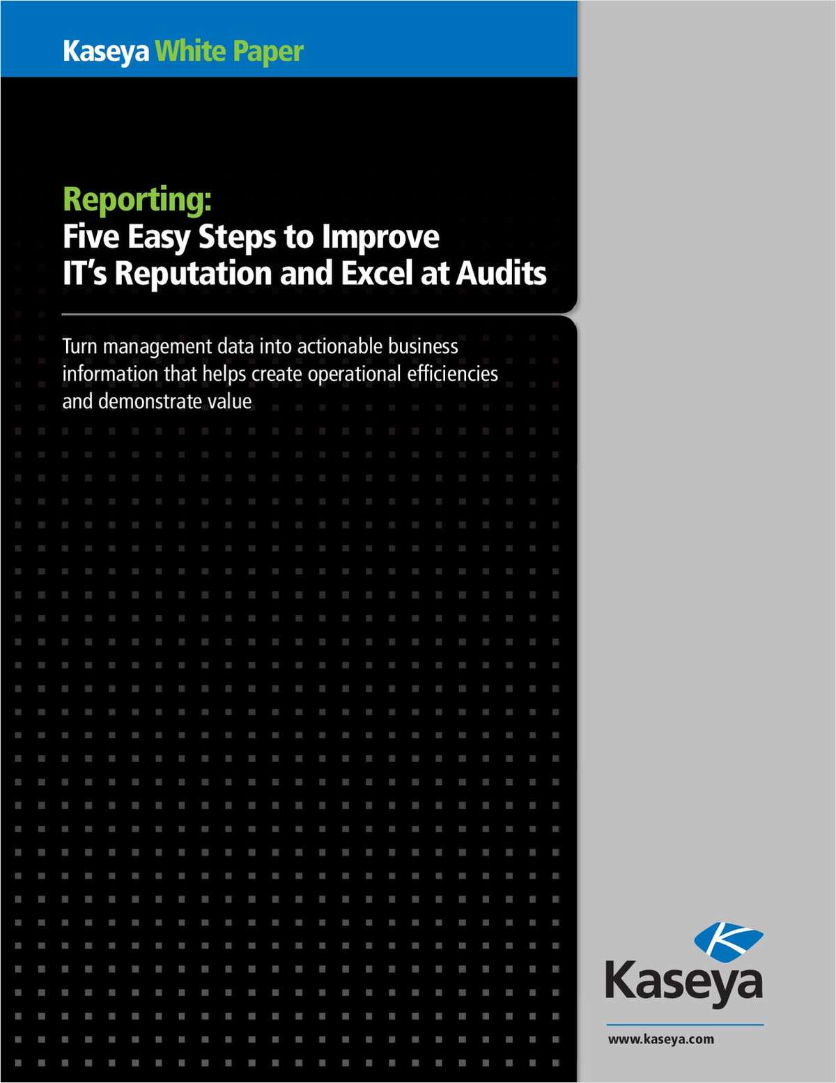 Five Easy Steps to Improve IT's Reputation and Excel at Audits