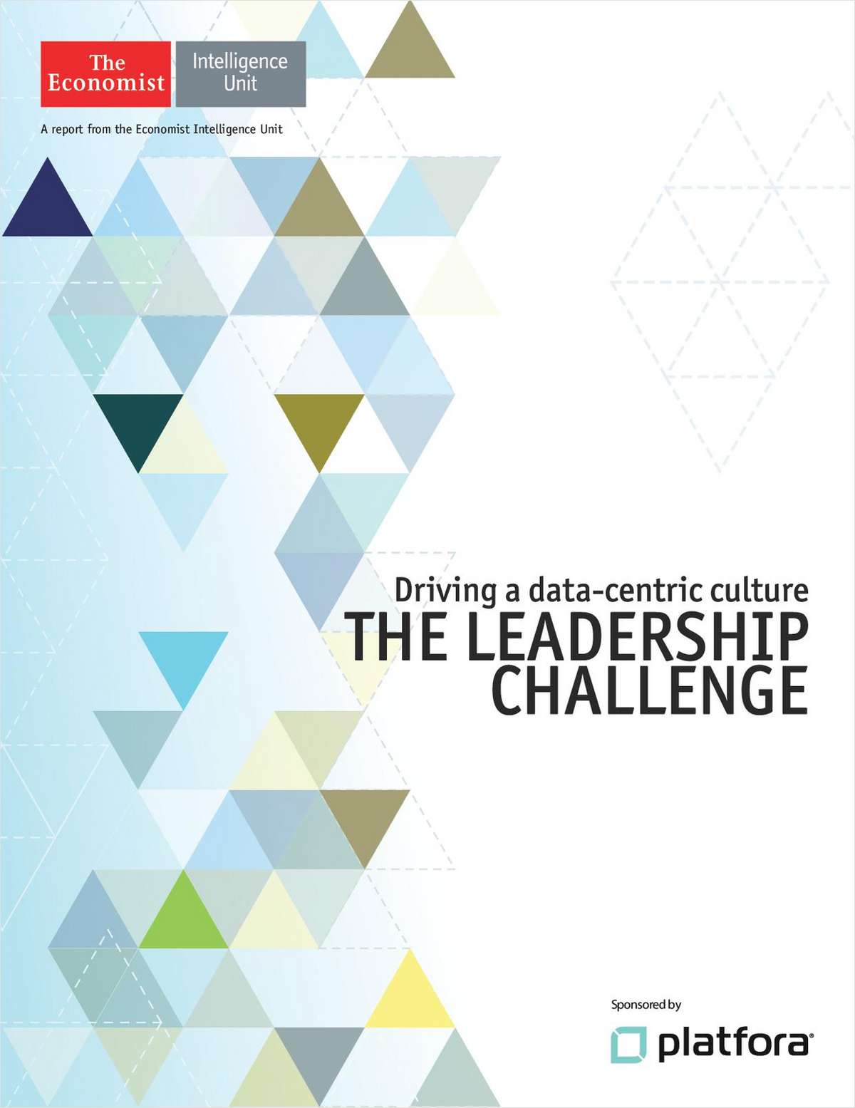 Driving a Data-centric Culture: The Leadership Challenge