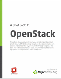 A Brief Look at OpenStack