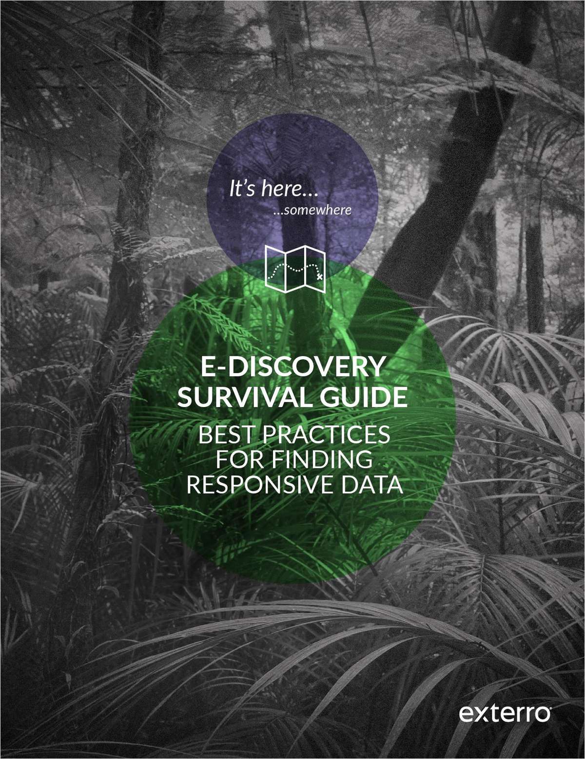 E-Discovery Survival Guide: Best Practices for Finding Responsive Data
