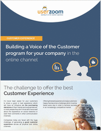 Building a VoC Program for Your Company in the Online Channel