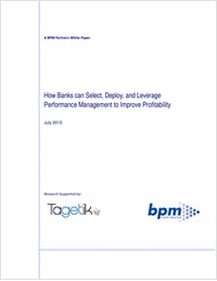 How Banks Can Select, Deploy and Leverage Performance Management to Improve Profitability