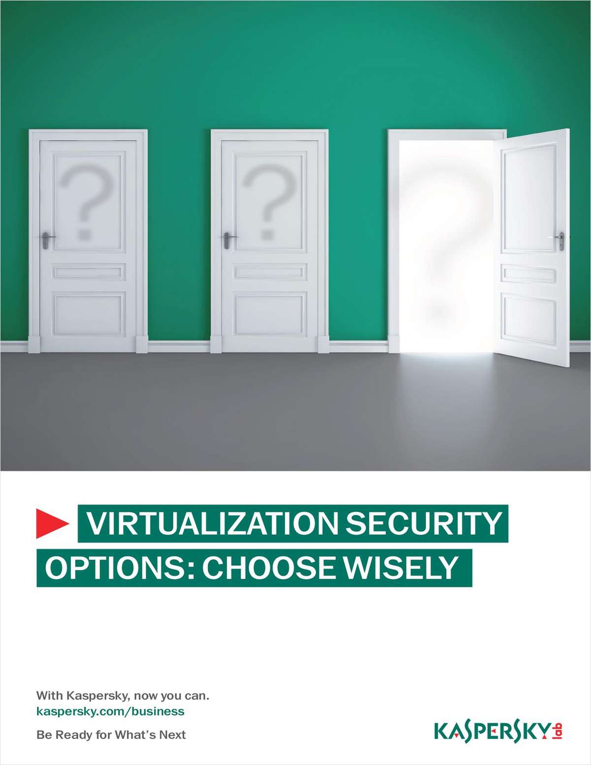 Virtualization Security: Know Your Options