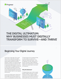 Transforming Experiences - The Digital Ultimatum