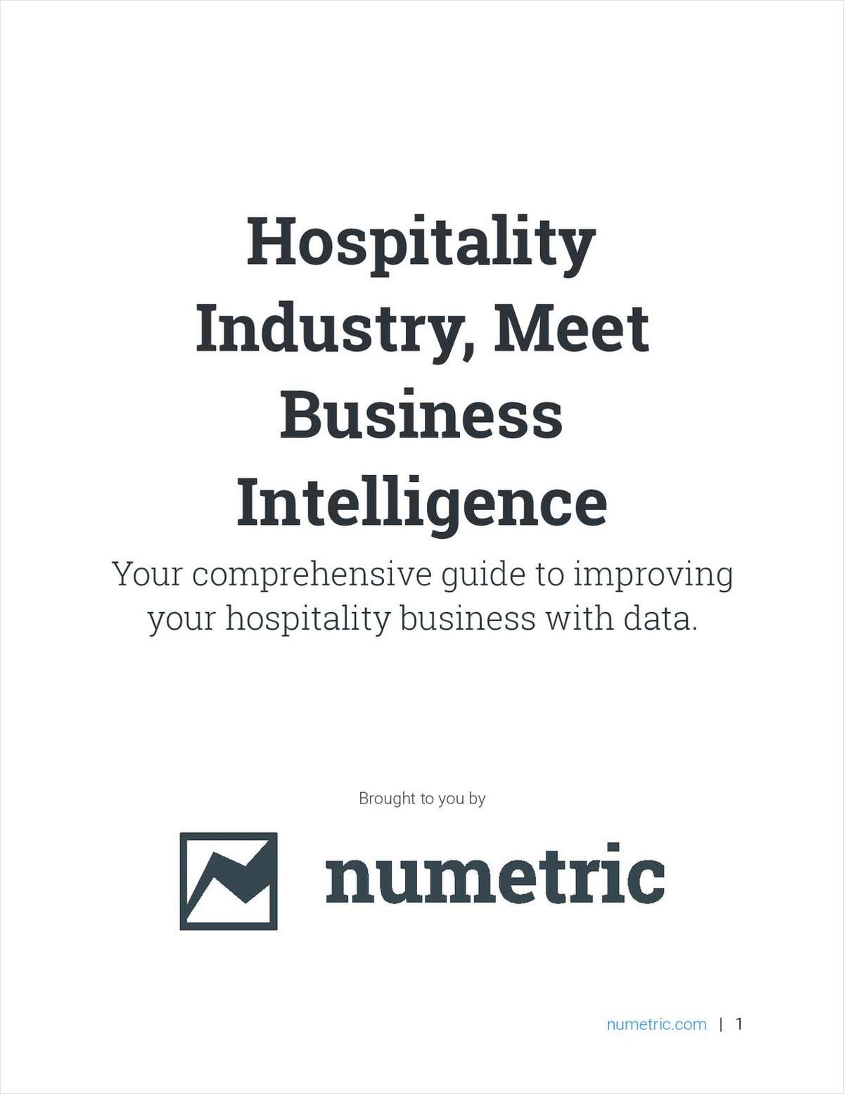 Hospitality Industry, Meet Business Intelligence