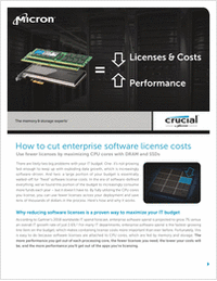 How to Cut Enterprise Software License Costs