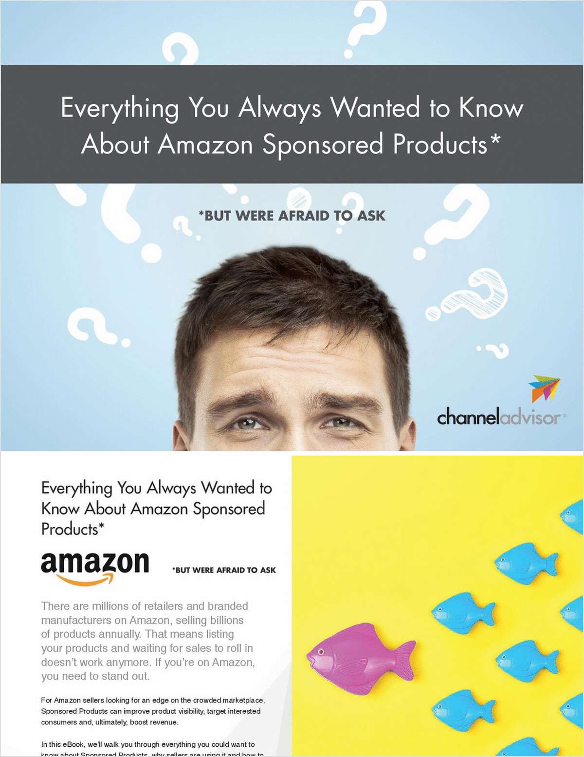 Everything You Always Wanted to Know About Amazon Sponsored Products