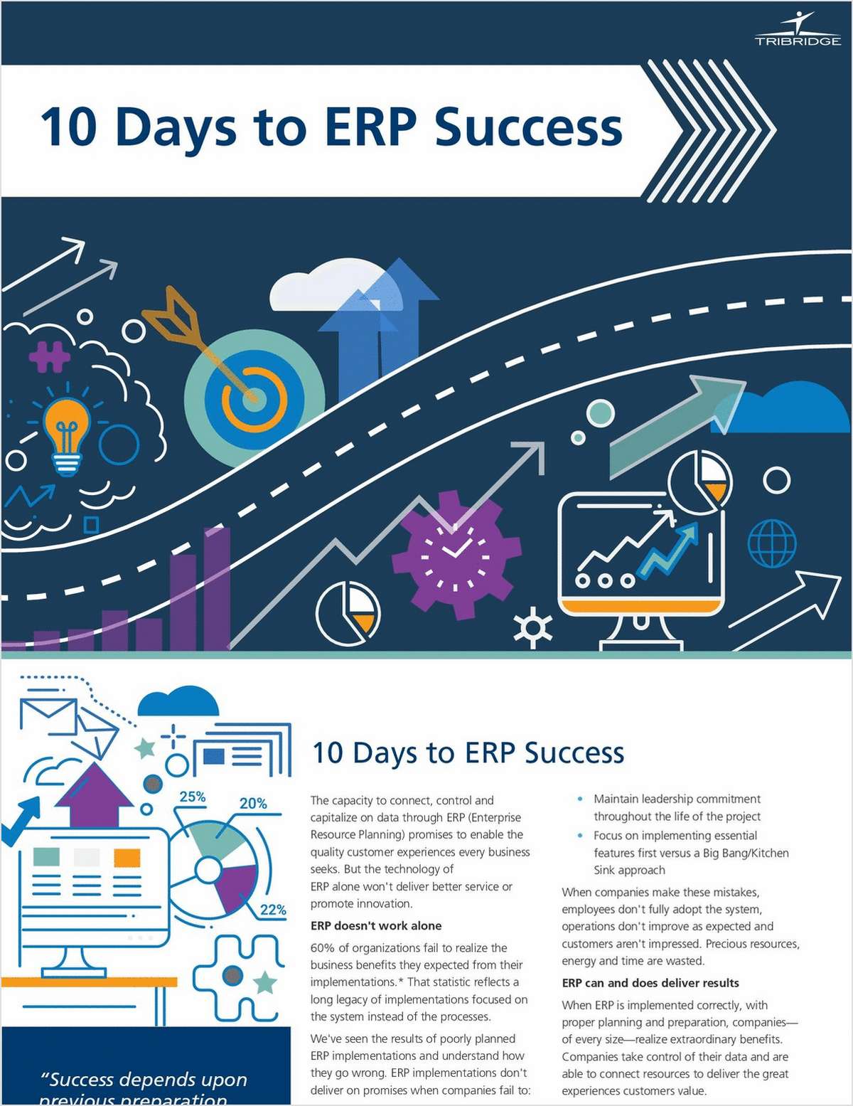 10 Days to ERP Success