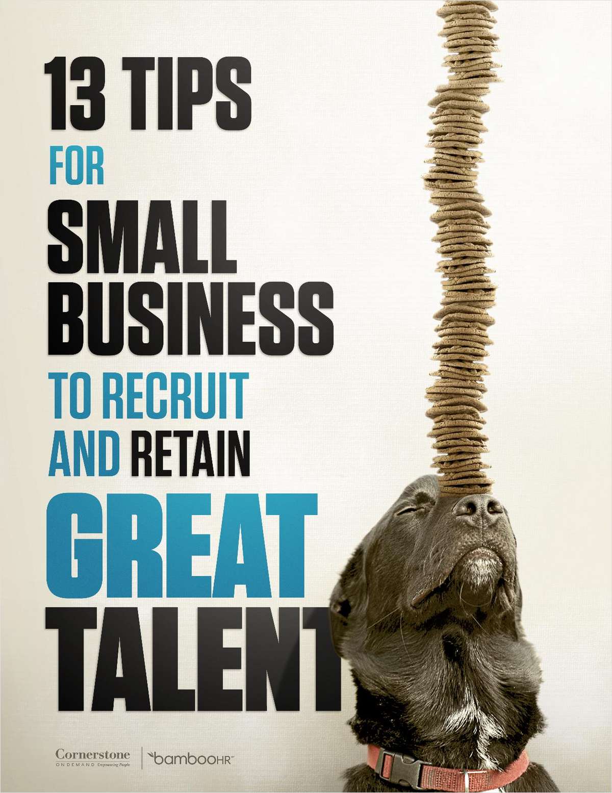 13 Tips for Small Business to Recruit and Retain Great Talent