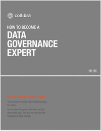 How to Become a Data Governance Expert