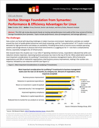 Veritas Storage Foundation from Symantec: Performance & Efficiency Advantages for Linux