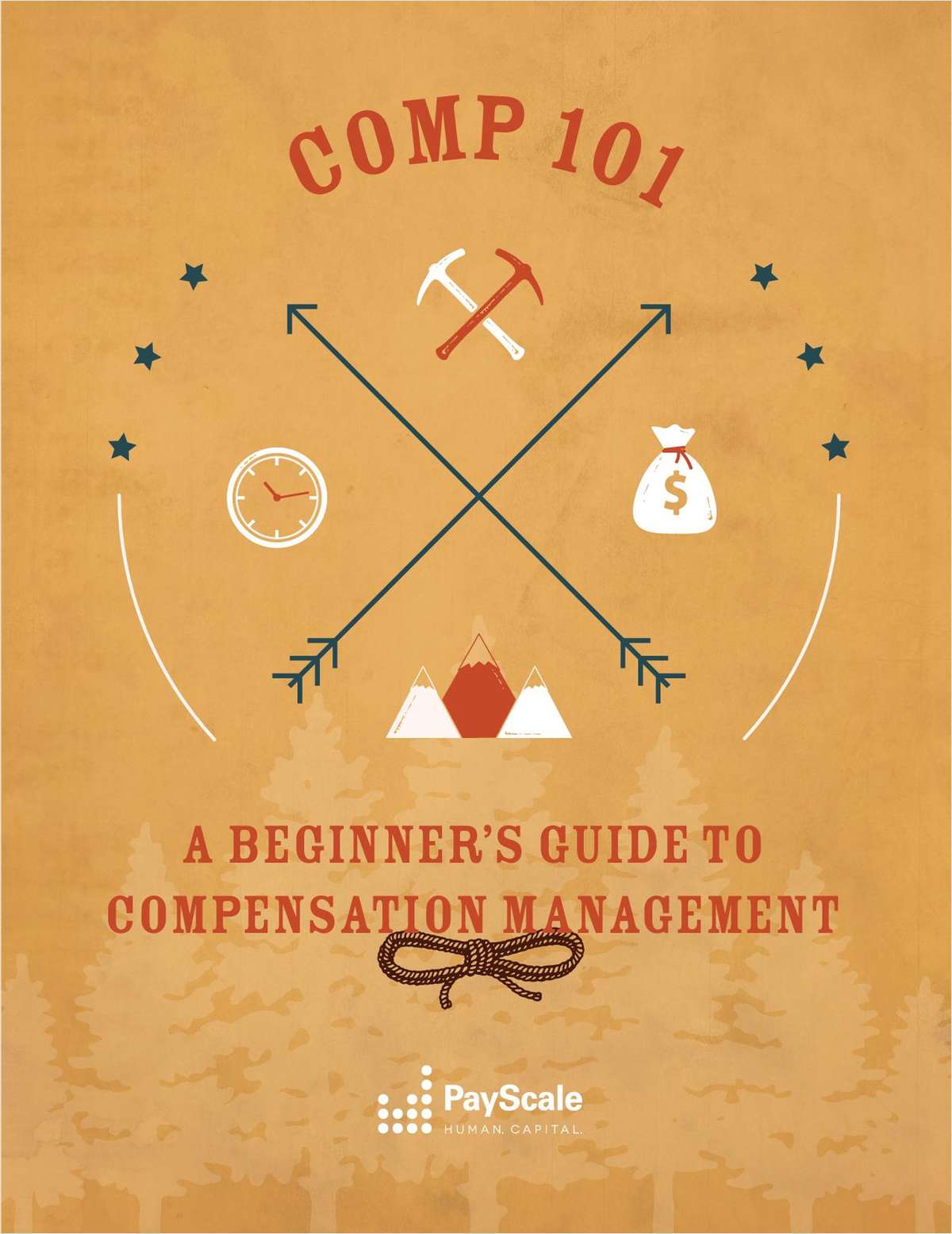 Compensation 101 A Beginner's Guide to Compensation Management Free eBook