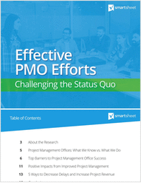 Effective PMO Efforts: Challenging the Status Quo