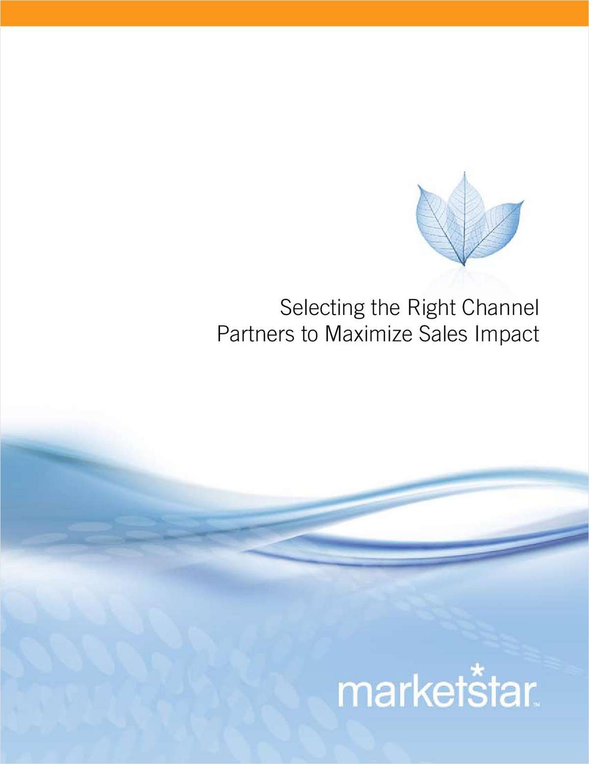 Selecting the Right Channel Partners to Maximize Sales Impact
